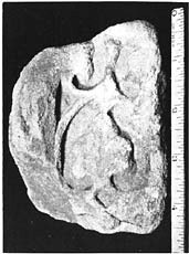 Samarra, Beit el Khalifah, fragment of rinceaux worked in marble.