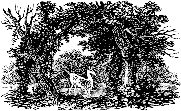 Woodcut for Hymn to Nature, page 31, from Lee Priory Press 'Woodcuts and Verses' 1820, published size 4.61cm wide by 2.83cm high.