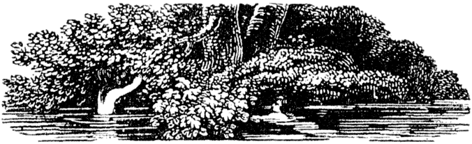 Woodcut for 'Derwent-Stream', page 63 bottom, from Lee Priory Press 'Woodcuts and Verses' 1820, published size 5.72cm wide by 1.75cm high.