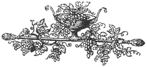 design of bowl with fruit