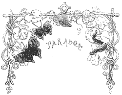 Illustration for Eleventh Class, Paradoxes