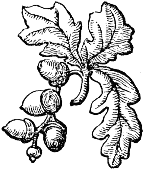 James Halliwell (ed): William Baldwin 'Beware the cat' (reproduced from transcript of 1570 edition) 1864, page 61 floral design, original published size 1.9cm wide by 2.3cm high.
