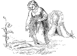 Illustration for DXCII, 'I sell you the key of the king's garden