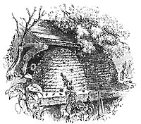 Beehive