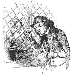 Illustration for poem CCCCLXXI, 'Young Roger came tapping...