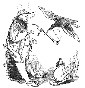 Bombay man's pipe being snatched by bird