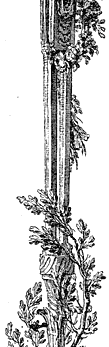 Figure  84. Border designed by Choffard in 1758. Published size in Bouchot, 11cm wide by 13.8cm high. Right portion.